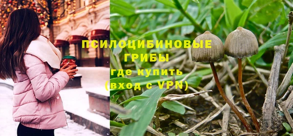 MDMA Козловка