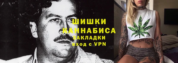 индика Кодинск