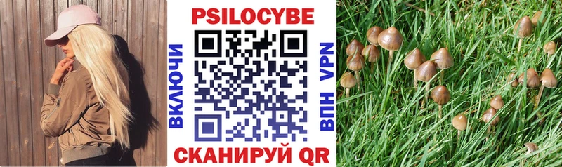 Купить закладки  Дедовск  Галлюциногенные грибы Psilocybine cubensis 